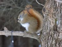 DSCN0527